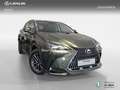 Lexus NX 450h+ 4WD PREMIUM+ Verde - thumbnail 21