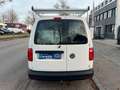 Volkswagen Caddy Maxi 4 MOTION SORTIMO REGALLE GROSS/AHK Bianco - thumbnail 6