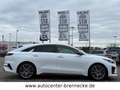 Kia ProCeed / pro_cee'd ProCeed GT*Panorama*8-fach bereift* Weiß - thumbnail 7