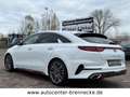 Kia ProCeed / pro_cee'd ProCeed GT*Panorama*8-fach bereift* Weiß - thumbnail 6