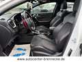 Kia ProCeed / pro_cee'd ProCeed GT*Panorama*8-fach bereift* Weiß - thumbnail 14