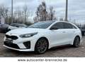 Kia ProCeed / pro_cee'd ProCeed GT*Panorama*8-fach bereift* Weiß - thumbnail 3