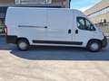 Fiat Ducato Maxi 35 2.3 MJT 150CV L3H2 Wit - thumbnail 4