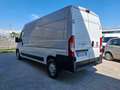 Fiat Ducato Maxi 35 2.3 MJT 150CV L3H2 Wit - thumbnail 7
