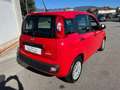 Fiat Panda 1.0 FireFly S&S Hybrid - PER NEOPATENTATO - Rouge - thumbnail 4