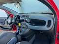 Fiat Panda 1.0 FireFly S&S Hybrid - PER NEOPATENTATO - Rouge - thumbnail 6