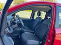 Fiat Panda 1.0 FireFly S&S Hybrid - PER NEOPATENTATO - Rouge - thumbnail 5