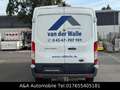 Ford Transit Kasten 350 L3 Kastenwagen Blanc - thumbnail 6