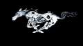 Ford Mustang Coupe 2,3 Aut. -Absolutes Einzelstück Silber - thumbnail 38