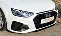 Audi A4 Avant 40 TDI S-line*PANO*Massage*Vorrüstung AHK Weiß - thumbnail 4