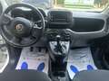 Fiat Panda Panda III 1.0 firefly hybrid City Bianco - thumbnail 8