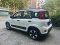 Fiat Panda Panda III 1.0 firefly hybrid City Bianco - thumbnail 3