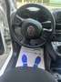 Fiat Panda Panda III 1.0 firefly hybrid City Bianco - thumbnail 7