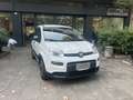 Fiat Panda Panda III 1.0 firefly hybrid City Bianco - thumbnail 1