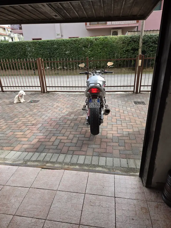 Suzuki Bandit 650