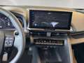 Toyota C-HR 1,8 Hybrid Teamplayer mit Technik-Paket Grau - thumbnail 9