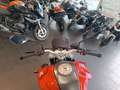 BMW F 900 R Rosso - thumbnail 9