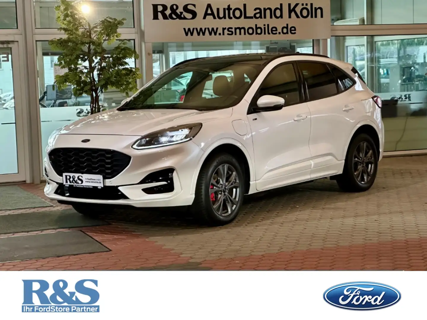 Ford Kuga ST-Line X+Pano+B&O+Key-Free+Kamera+Navi Weiß - 1