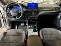 Ford Kuga ST-Line X+Pano+B&O+Key-Free+Kamera+Navi Weiß - thumbnail 25