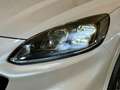 Ford Kuga ST-Line X+Pano+B&O+Key-Free+Kamera+Navi Weiß - thumbnail 3