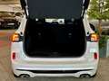 Ford Kuga ST-Line X+Pano+B&O+Key-Free+Kamera+Navi Weiß - thumbnail 8