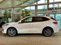 Ford Kuga ST-Line X+Pano+B&O+Key-Free+Kamera+Navi Weiß - thumbnail 5