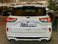 Ford Kuga ST-Line X+Pano+B&O+Key-Free+Kamera+Navi Weiß - thumbnail 7