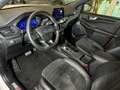 Ford Kuga ST-Line X+Pano+B&O+Key-Free+Kamera+Navi Weiß - thumbnail 12