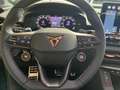 CUPRA Terramar VZ 2.0 TSI 4Drive Matrix,Sound,20-Zoll Schwarz - thumbnail 14