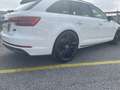 Audi A4 AVANT 2.0 TDI S LINE Weiß - thumbnail 4