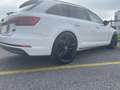 Audi A4 AVANT 2.0 TDI S LINE Weiß - thumbnail 7