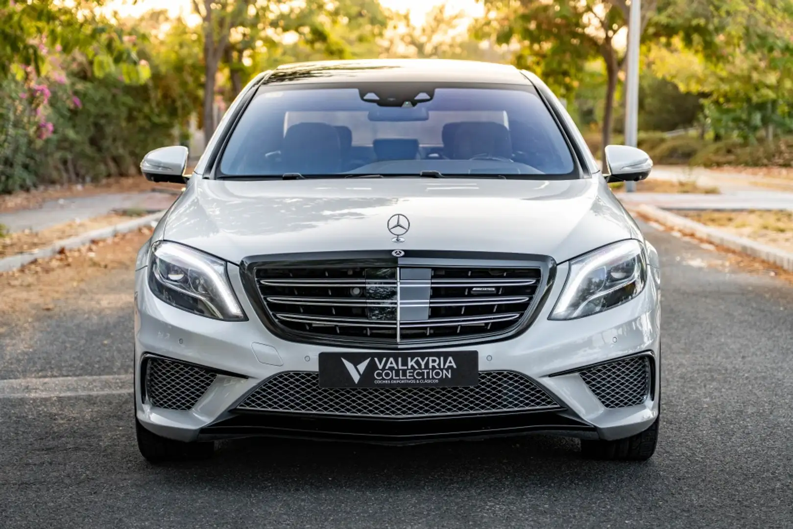Mercedes-Benz S 65 AMG Largo Aut. Grau - 2