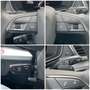 Audi Q5 35 TDI basis ACC AHK CarPlay Lane RFK ViCo Grün - thumbnail 16