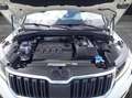 Skoda Kodiaq Style 2.0 TDI  4x4 DSG AHZ LED NAVI Blanco - thumbnail 9