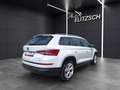 Skoda Kodiaq Style 2.0 TDI  4x4 DSG AHZ LED NAVI Blanco - thumbnail 5