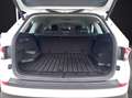 Skoda Kodiaq Style 2.0 TDI  4x4 DSG AHZ LED NAVI Blanco - thumbnail 14