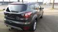 Ford Kuga Trend*AHK*SHZ*GRA* - thumbnail 6