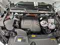 Audi Q5 2.0 TFSIe Sportback S line Pano B&O 55 TFSI e q... Weiß - thumbnail 19
