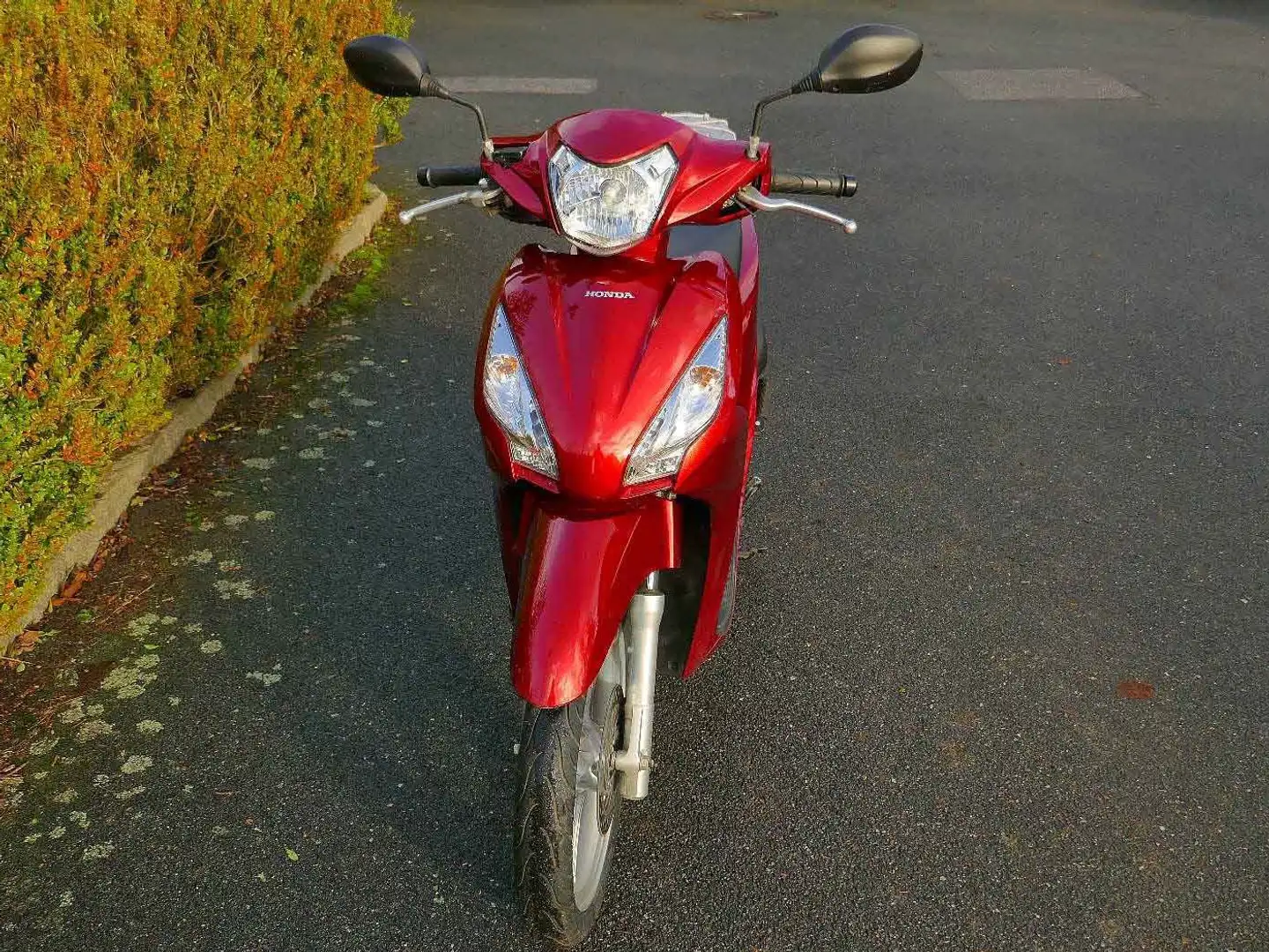 Honda Vision 110 NSC110MPD Красный - 1