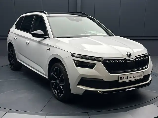 Skoda Kamiq view 7