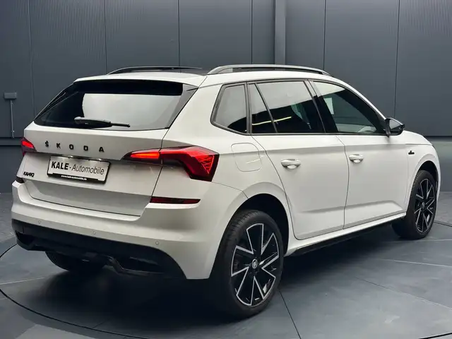 Skoda Kamiq view 5