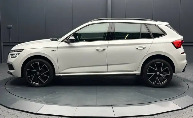 Skoda Kamiq view 2