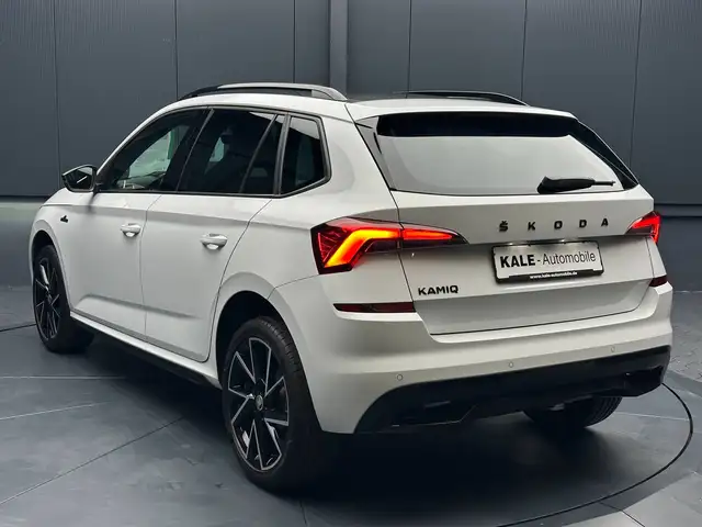 Skoda Kamiq view 3