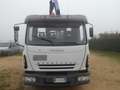 Iveco Eurocargo 120e21 cassone con gru-cestello Blanc - thumbnail 11