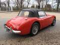 Austin-Healey 3000 MK2 Червоний - thumbnail 5