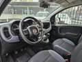 Fiat Panda 1.0 FireFly S&S Hybrid Šedá - thumbnail 8