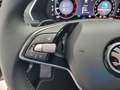 Skoda Octavia Combi 2.0 TDI Selection RFK ACC LANE Schwarz - thumbnail 16