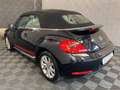 Volkswagen Beetle Cabriolet*Club*BI XENON-PDC V+H-SHZ-LM 17 Black - thumbnail 3