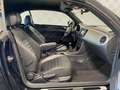 Volkswagen Beetle Cabriolet*Club*BI XENON-PDC V+H-SHZ-LM 17 Black - thumbnail 7