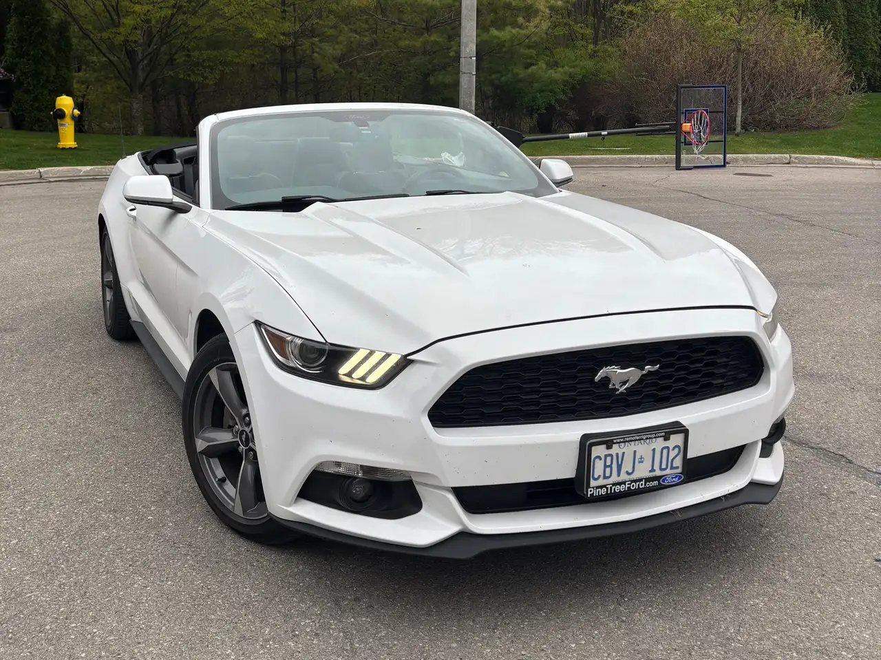 Ford Mustang снимка Ford Mustang